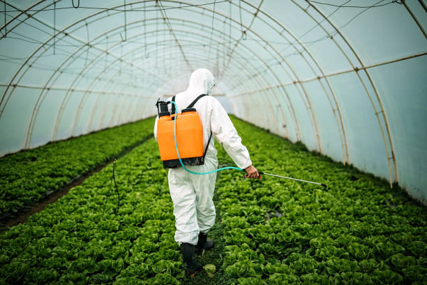 Best Affordable Pest Control Services  in Cape St Claire, MD