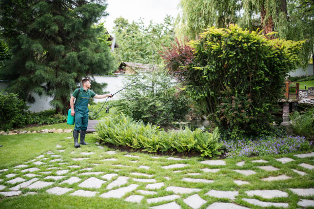 Best Exterminator Services  in Cape St Claire, MD