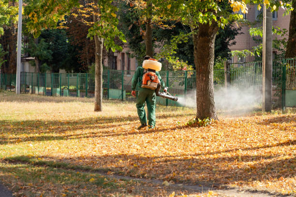 Best Termite Control Services  in Cape St Claire, MD
