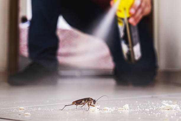 Best Cockroach Control Services  in Cape St Claire, MD