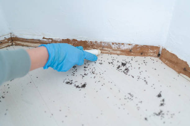 Trusted Cape St Claire, MD Pest Control Experts